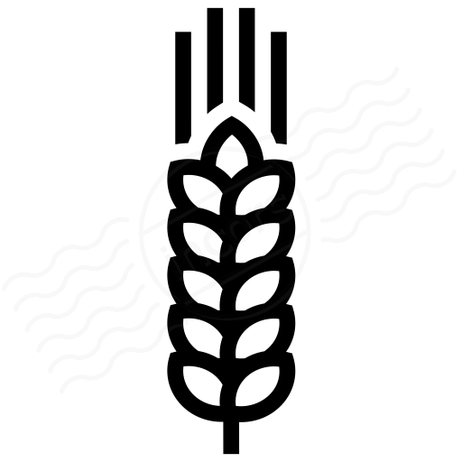 512x512 Iconexperience I Collection Wheat Icon