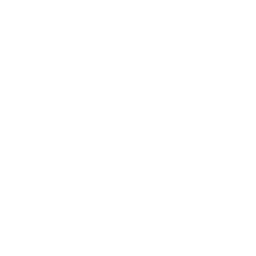 256x256 White Arrow Icon