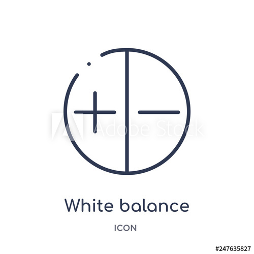 500x500 White Balance Icon From User Interface Outline Collection Thin