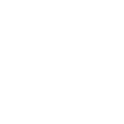 256x256 Free White Slr Camera Icon