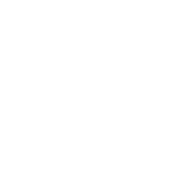 256x256 Free White Switch Camera Icon