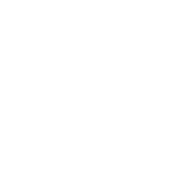 256x256 White Camera Icon