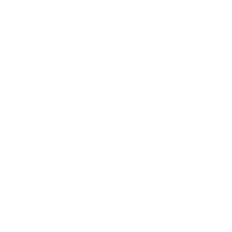 256x256 White Camera Icon