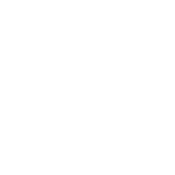 256x256 White Old Time Camera Icon
