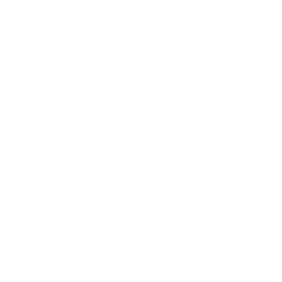 256x256 White Email Icon