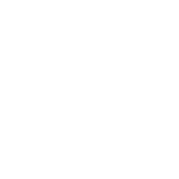 White Empty Flag Icon 256x256 White Empty Flag Icon