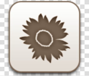 White Flower Icon