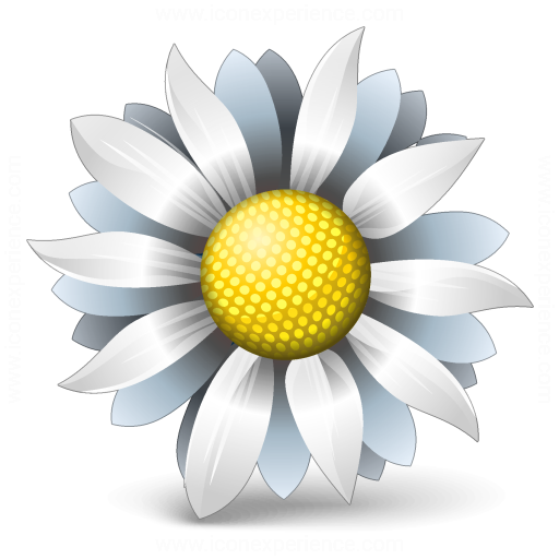 512x512 Iconexperience V Collection Flower White Icon