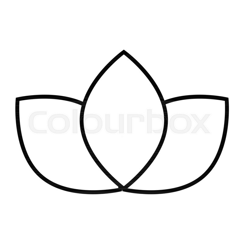 800x800 Lotus Thin Line Icon Floral Vector Stock Vector Colourbox