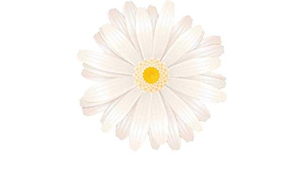 600x350 Ew Designs Beautiful Vibrant Spring Gerber Daisy