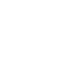 256x256 White Flower Icon
