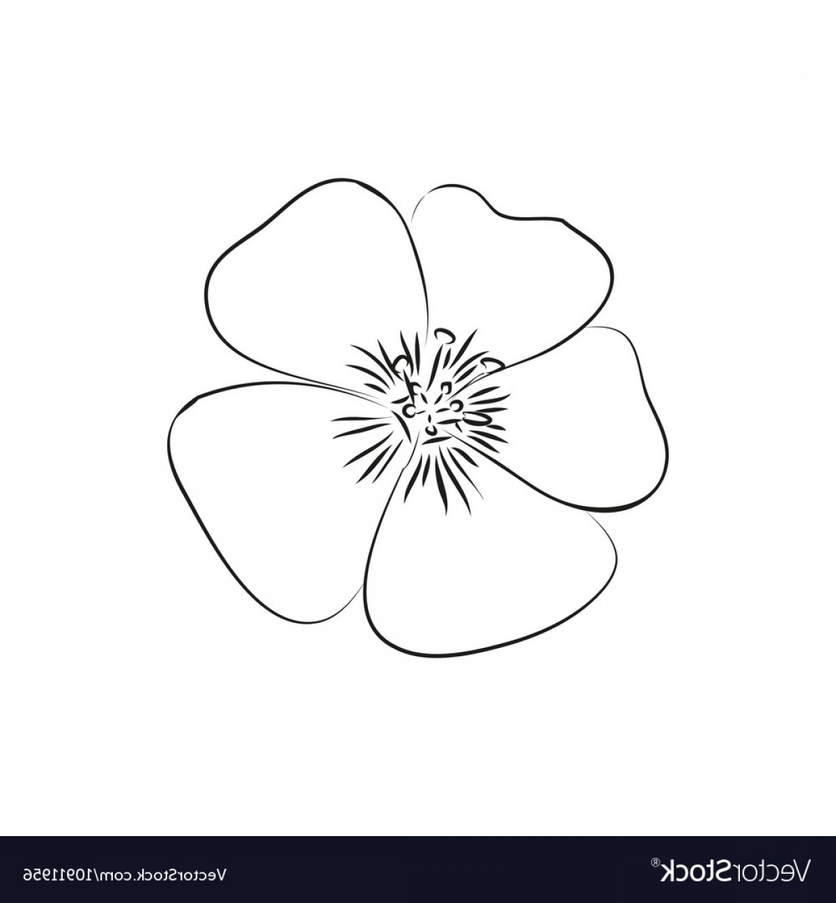 1200x1296 Beautiful Flower Simple Black Lined Icon On White Vector Soidergi
