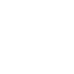256x256 White Cog Icon