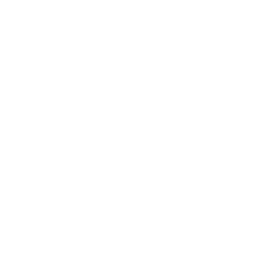 White Globe Icon 256x256 White Globe Icon