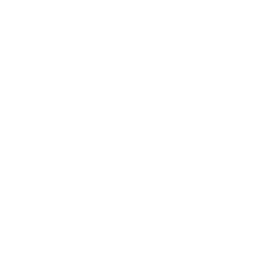 White Globe Icon 256x256 White Globe Icon