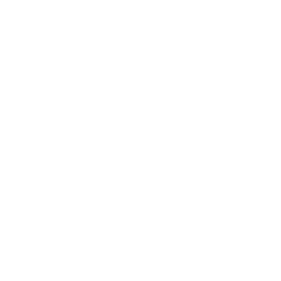 White Globe Icon 256x256 White Globe Icon