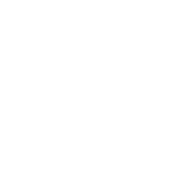 Free White Globe Icon 256x256 Free White Globe Icon