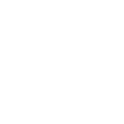 256x256 White German Hat Icon
