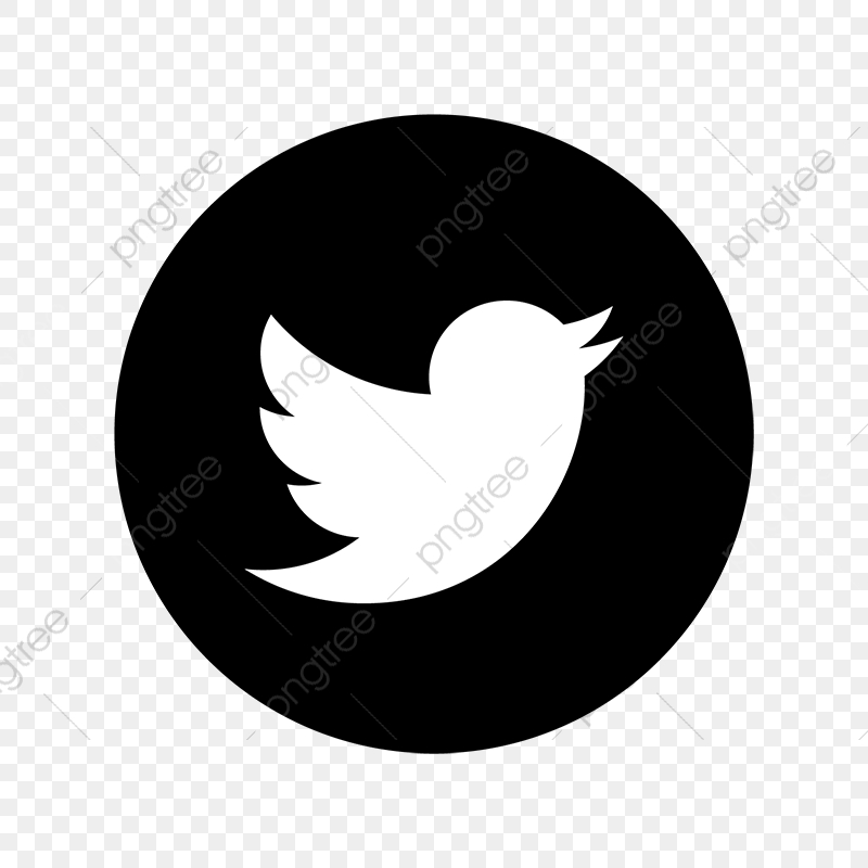 800x800 Twitter Black White Icon, Twitter Logo, Twitter Vector, Twitter