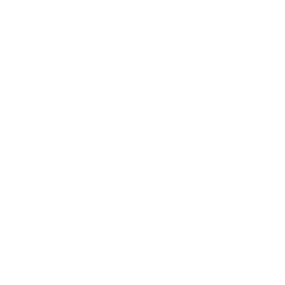 256x256 White Car Key Icon