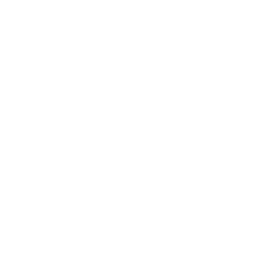 256x256 White Key Icon