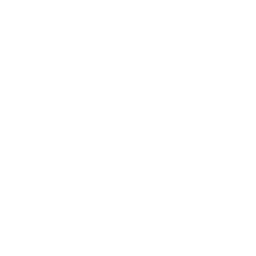256x256 White Magnifying Glass Icon