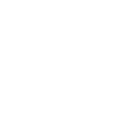 256x256 White Microphone Icon