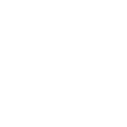 256x256 Free White Google Web Search Icon