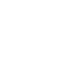 256x256 White Facebook Icon