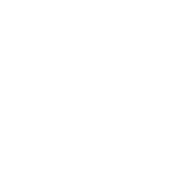 256x256 White Star Icon