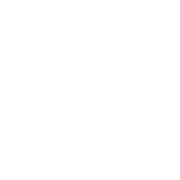 256x256 Free White Sun Glasses Icon