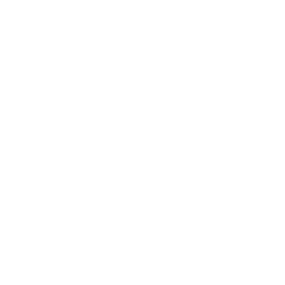 256x256 Free White Sun Icon