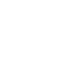 White Phone Icon 256x256 White Phone Icon