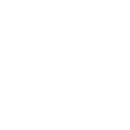 256x256 White Empty Trash Icon
