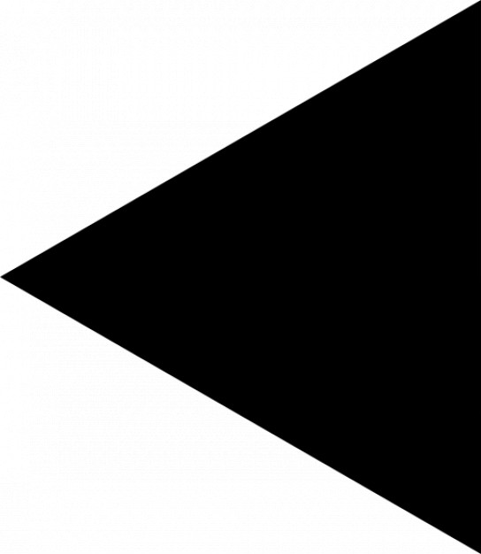 544x626 Black Triangle Icon
