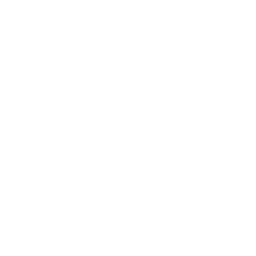 256x256 Free White Triangle Stroked Icon