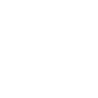 192x192 Local Shipping Icon Material Ui