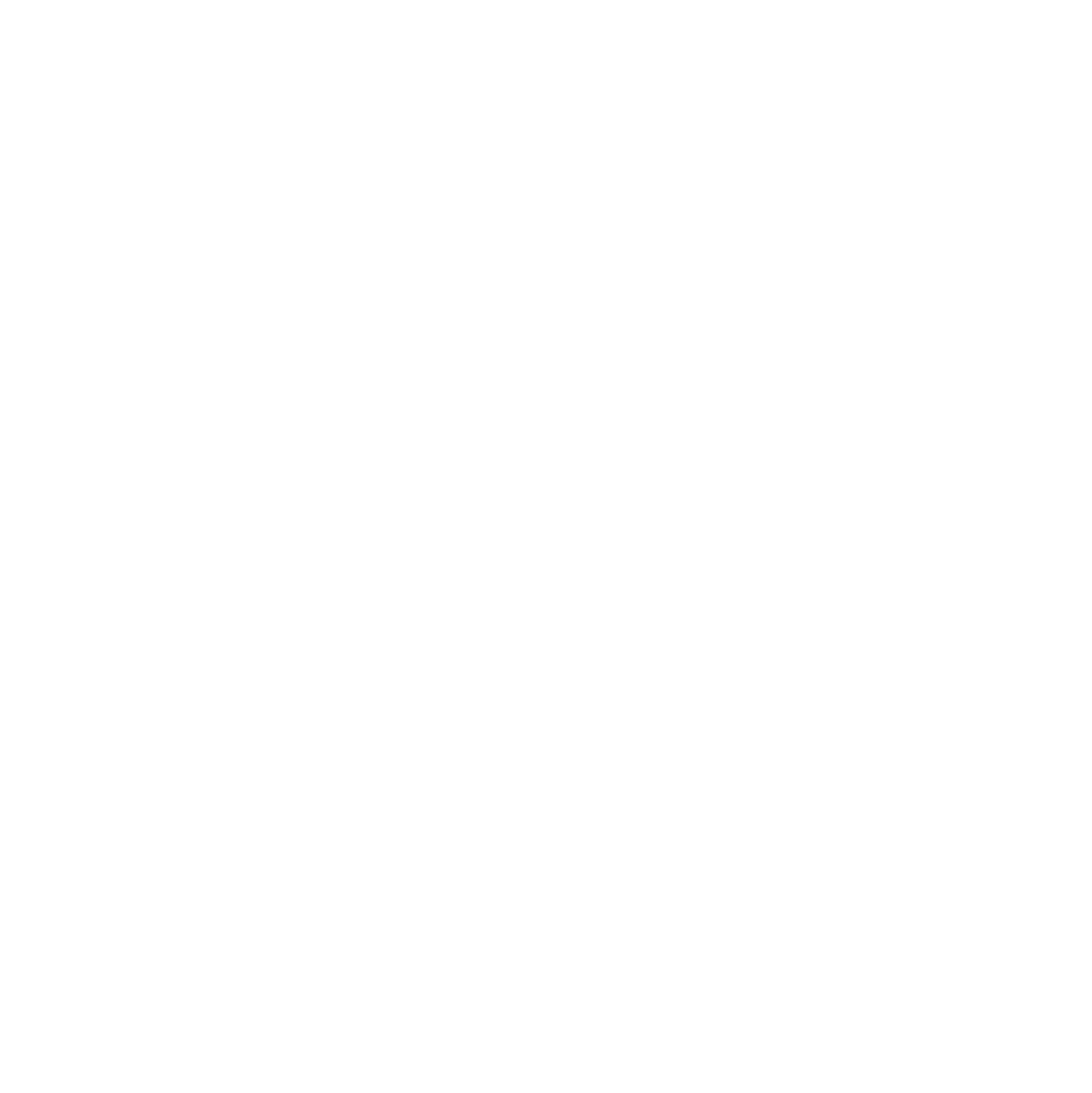 2076x2077 Hd Twitter Icon White Transparent