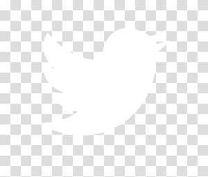 300x256 Twitter Icon Png Black Images