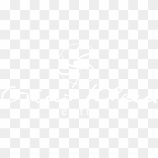 320x320 White Twitter Icon Png Images, Free Transparent Image Download