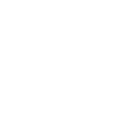 256x256 Free White Twitter Icon