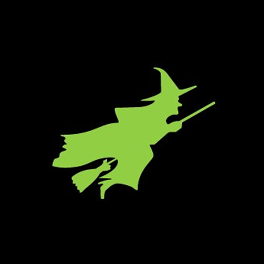 539x539 Wicked Icon Nintendo Fan