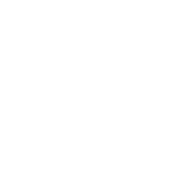 256x256 White Wifi Icon