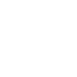 256x256 White Wifi Bars Icon