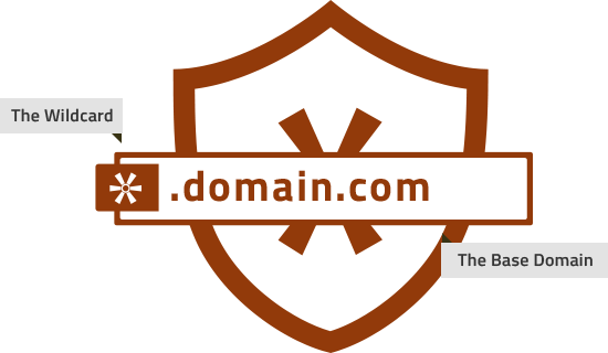 550x320 Wildcard Ssl Certificates