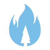 160x160 Wildfire Icon