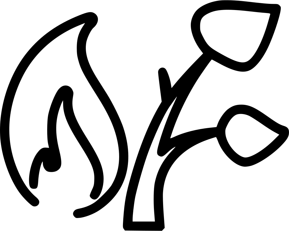 980x784 Wildfire Png Icon Free Download