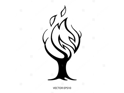 400x300 Wildfire Icon