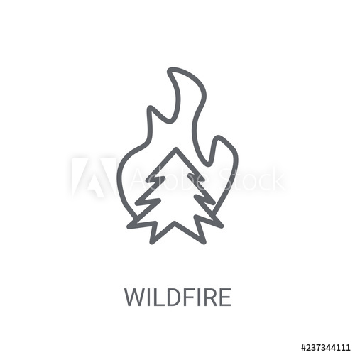 500x500 Wildfire Icon Trendy Wildfire Logo Concept On White Background