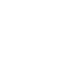 256x256 Xenlism Wildfire Miminal Icon Theme For Nix